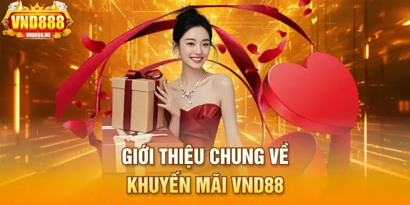 Giới thiệu chung về khuyến mãi VND88