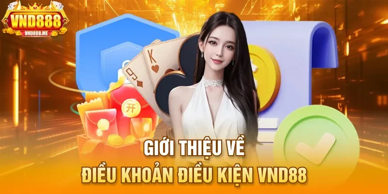 Giới thiệu về điều khoản điều kiện VND88