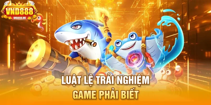 Luật lệ trải nghiệm game phải biết