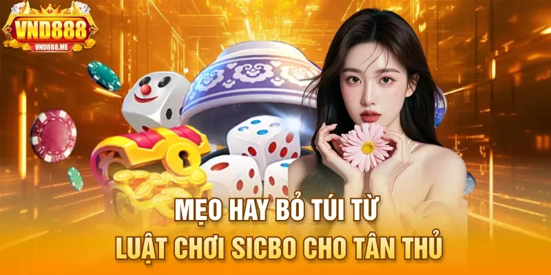 Mẹo hay bỏ túi từ luật chơi sicbo cho tân thủ