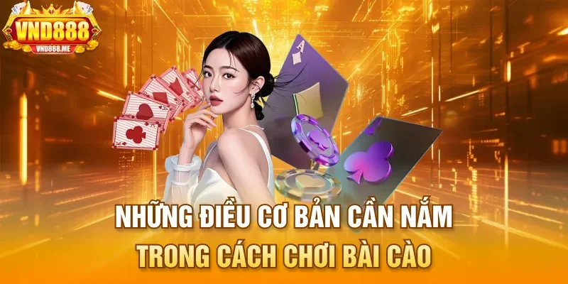 Những điều cơ bản cần nắm trong cách chơi bài cào