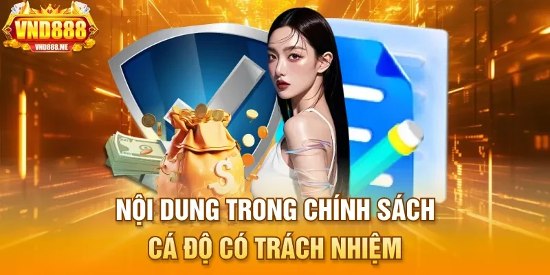 Nội dung trong chính sách cá độ có trách nhiệm