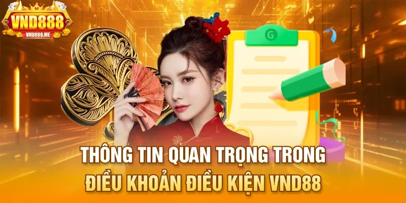 Thông tin quan trọng trong điều khoản điều kiện VND88