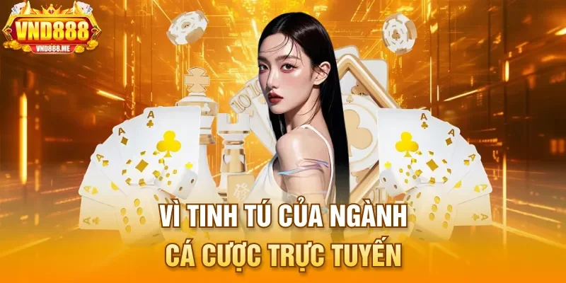 Vì tinh tú của ngành cá cược trực tuyến